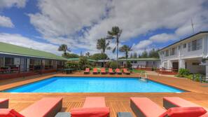 Outdoor pool, pool umbrellas, pool loungers