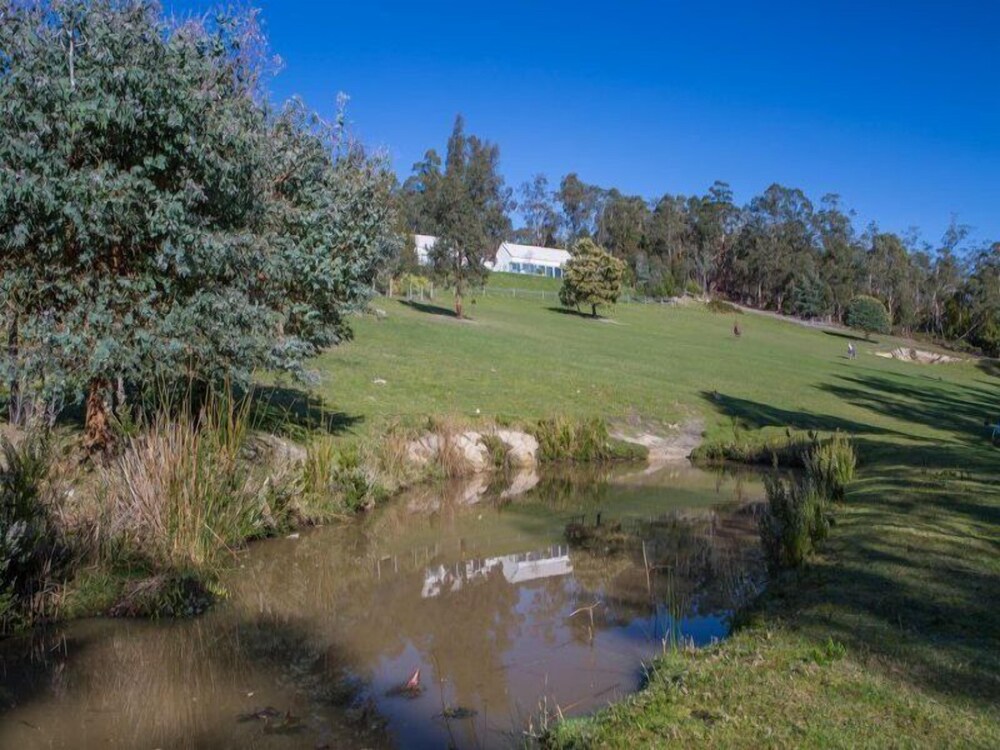 Arjuna Ridge Bed & Breakfast