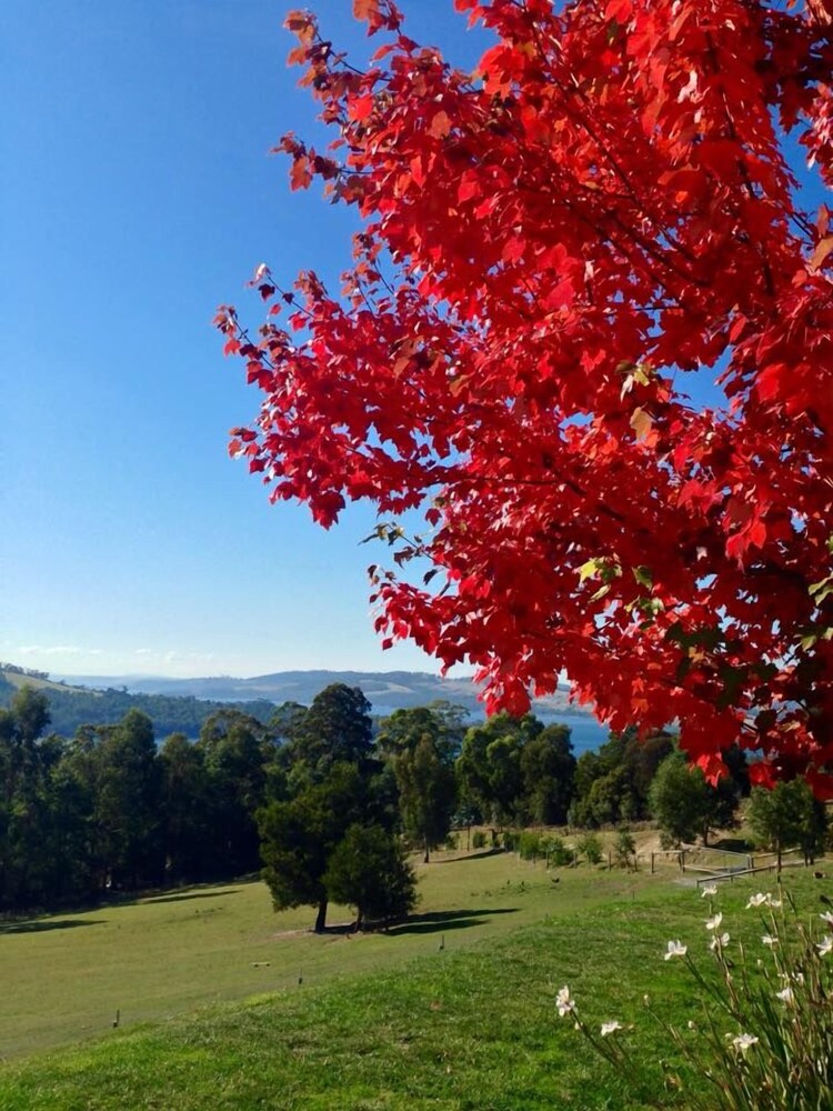 Arjuna Ridge Bed & Breakfast