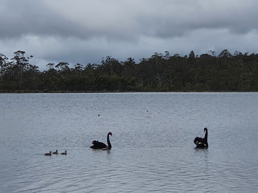 Lake Yalleena Nature Retreat