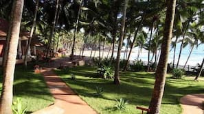 View from hotel