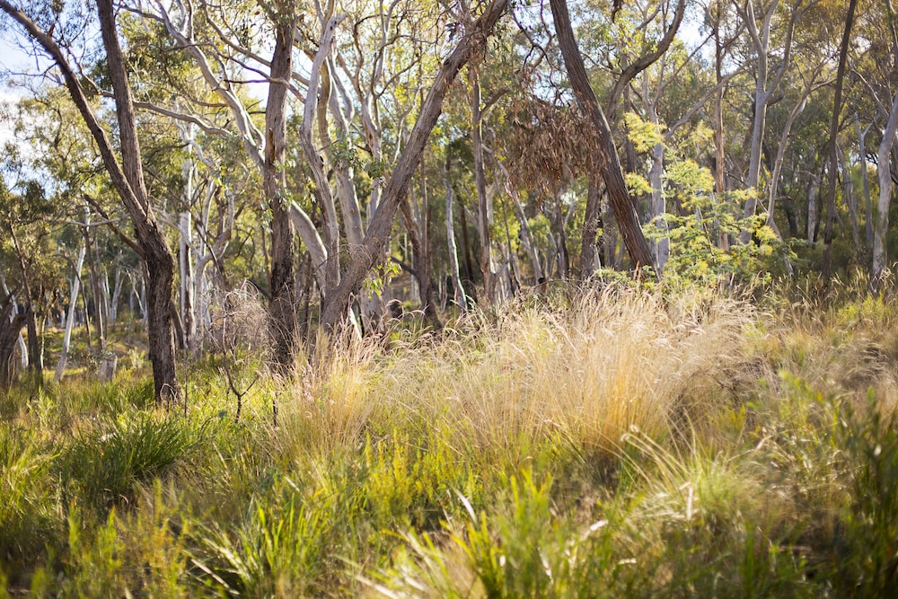 Alivio Tourist Park Canberra