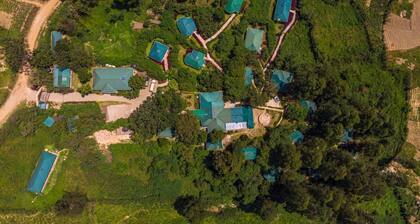 Gorilla Safari Lodge