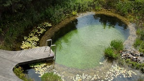 Outdoor pool, pool umbrellas, pool loungers