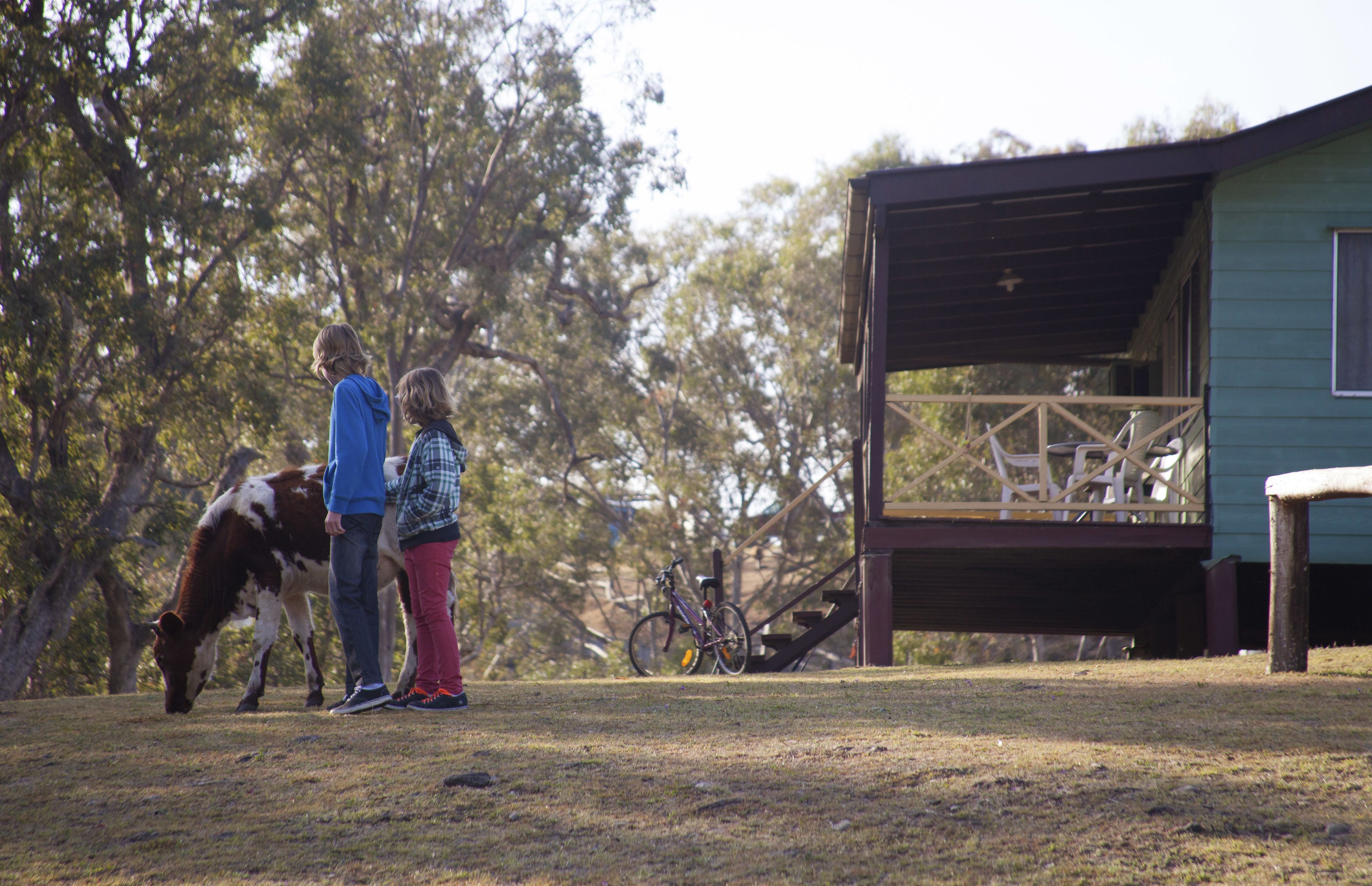 Bestbrook Mountain Resort