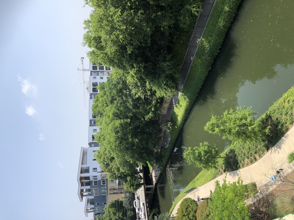 Room, Wyndham Garden San Antonio Riverwalk/Museum Reach