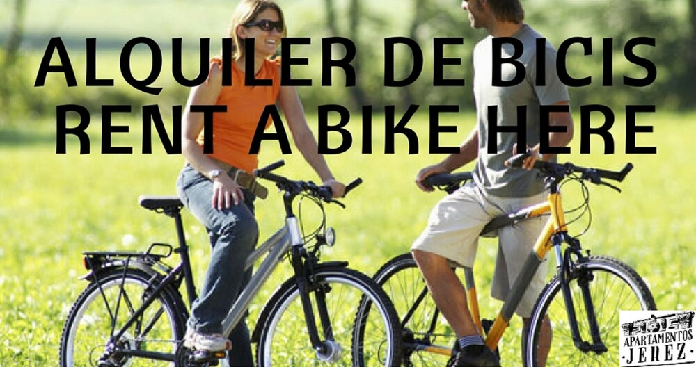 Imagen de Apartamentos Jerez (12 de 15)