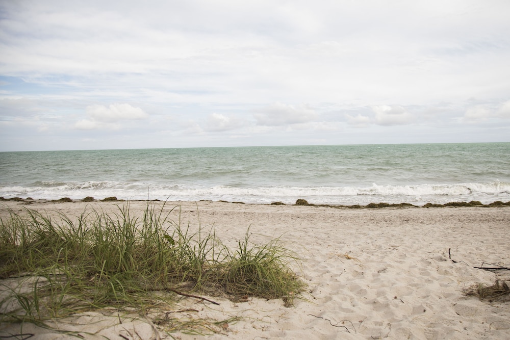 View from property, Coral Reef at Key Biscayne