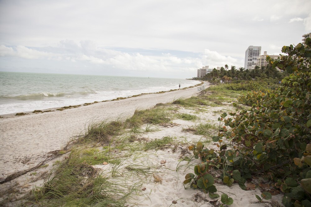 View from property, Coral Reef at Key Biscayne