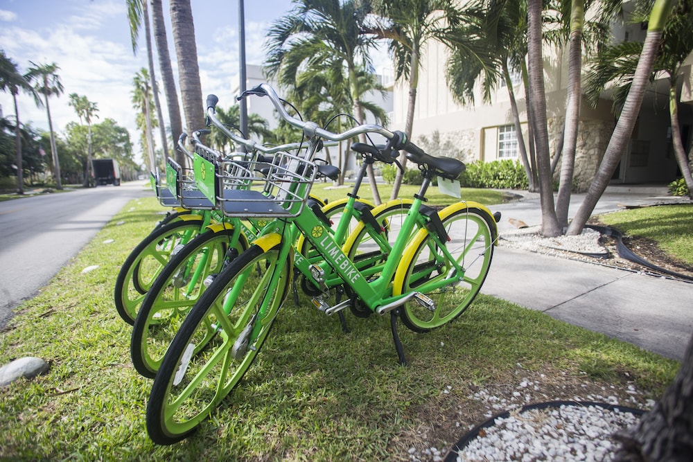 Bicycling, Coral Reef at Key Biscayne