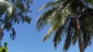 Trên bãi biển, ghế dài tắm nắng, massage trên bãi biển