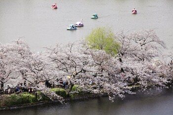 上野站東方 1 號青年旅舍
