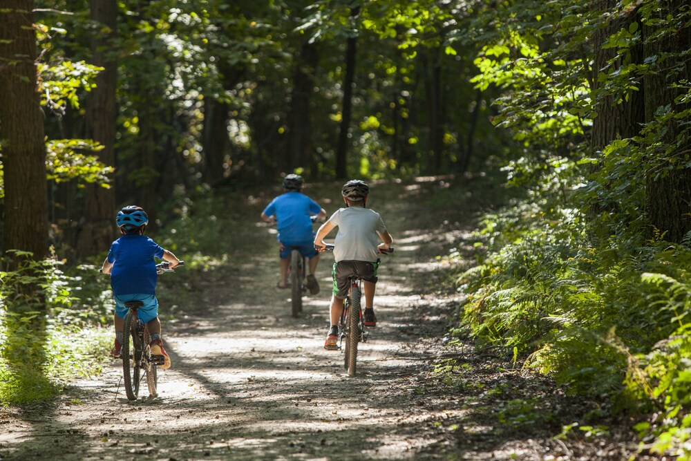 Chestnut Mountain Resort