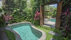 Outdoor pool, pool umbrellas, pool loungers