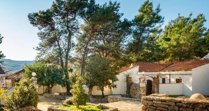 Trim Sunny Apartments by Valamar