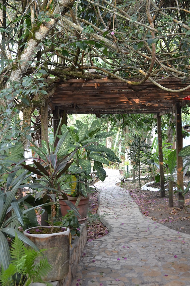 Hotel Jaguar Inn Tikal 2018 Room Prices From 52 Deals Reviews Aerial View Featured Image Reception