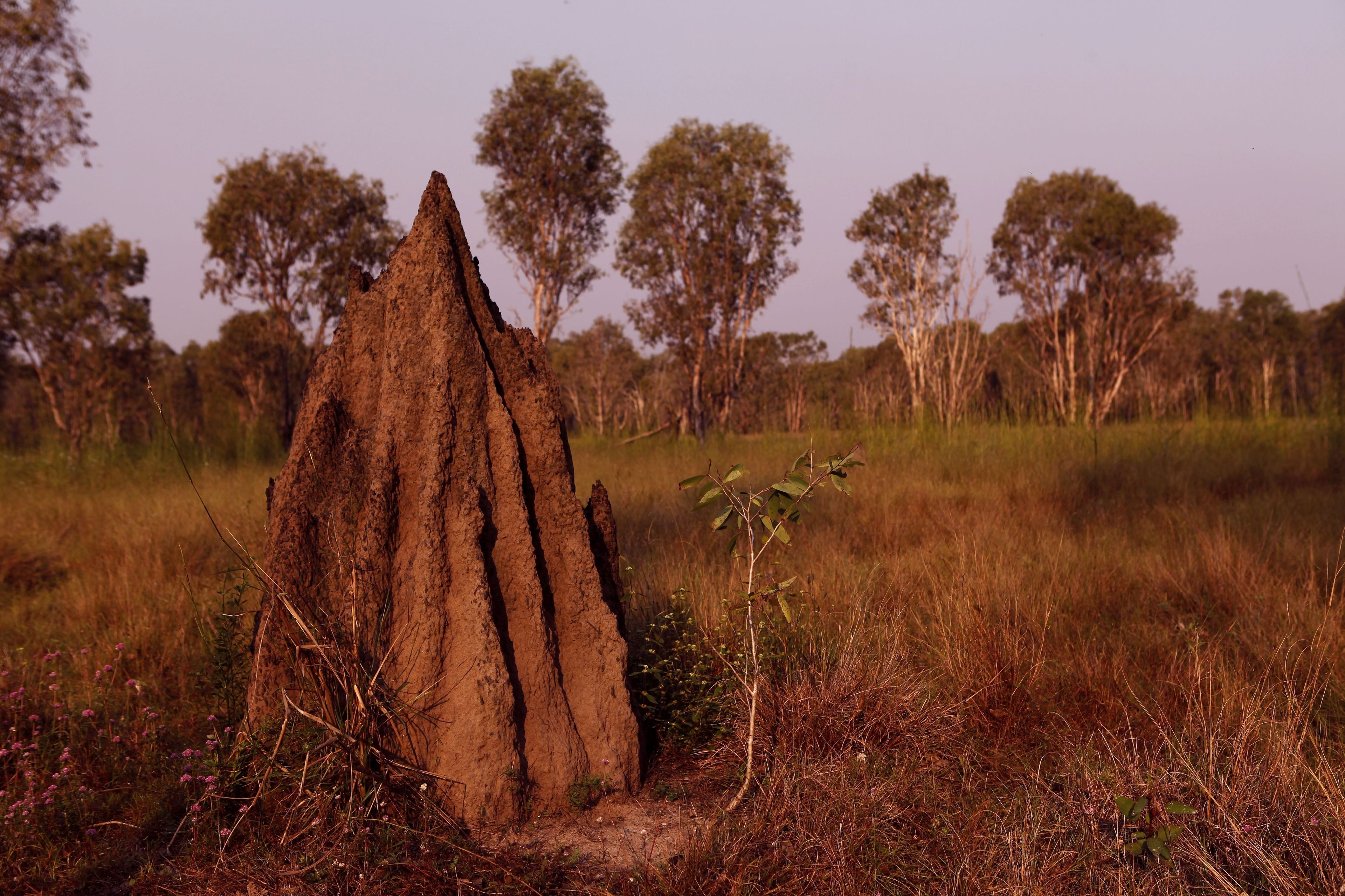 Wildman Wilderness Lodge