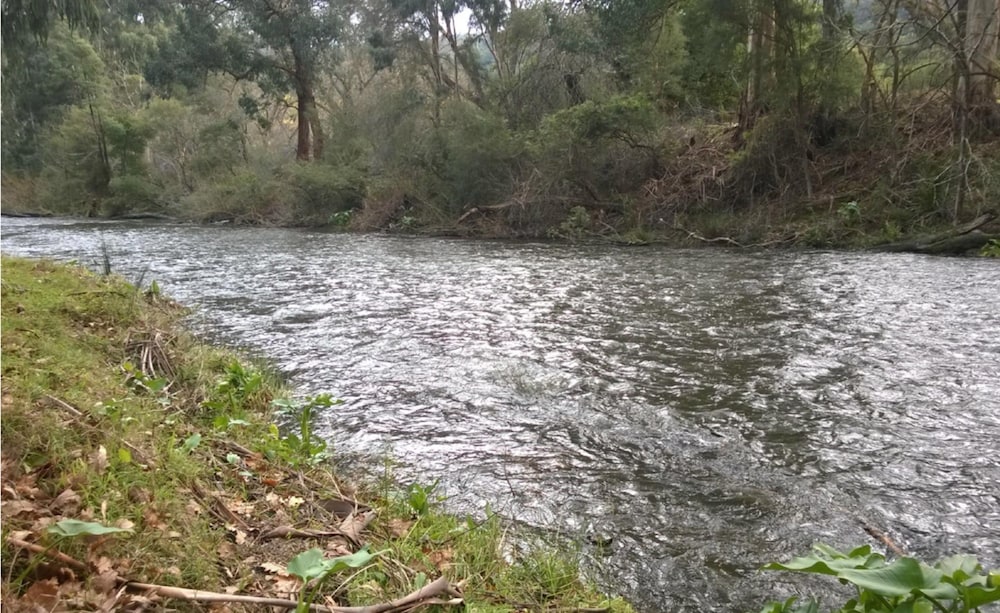 Oscar's on the Yarra