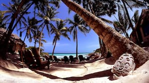 Ubicación a pie de playa, tumbonas y toallas de playa