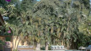 3 outdoor pools, pool umbrellas, sun loungers