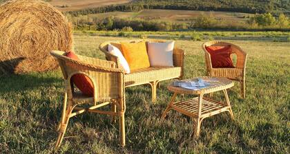 Bed and Breakfast Villa Velia