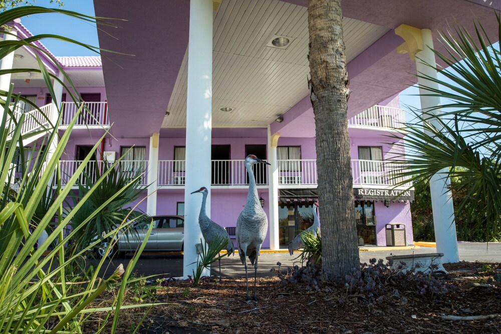 Magic Castle Inn And Suites In Orlando Hotel Rates Reviews On Orbitz