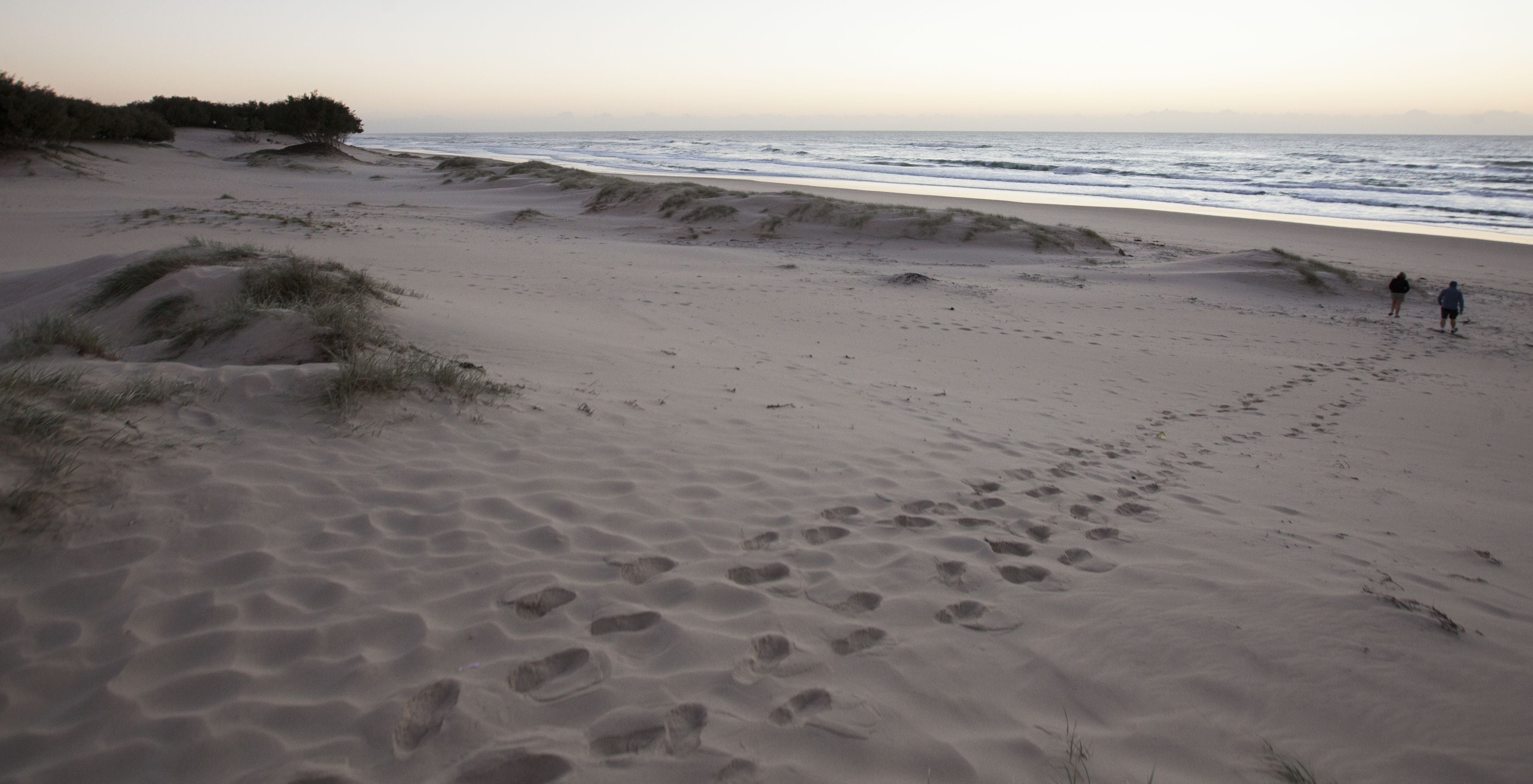 Couran Cove Island Resort