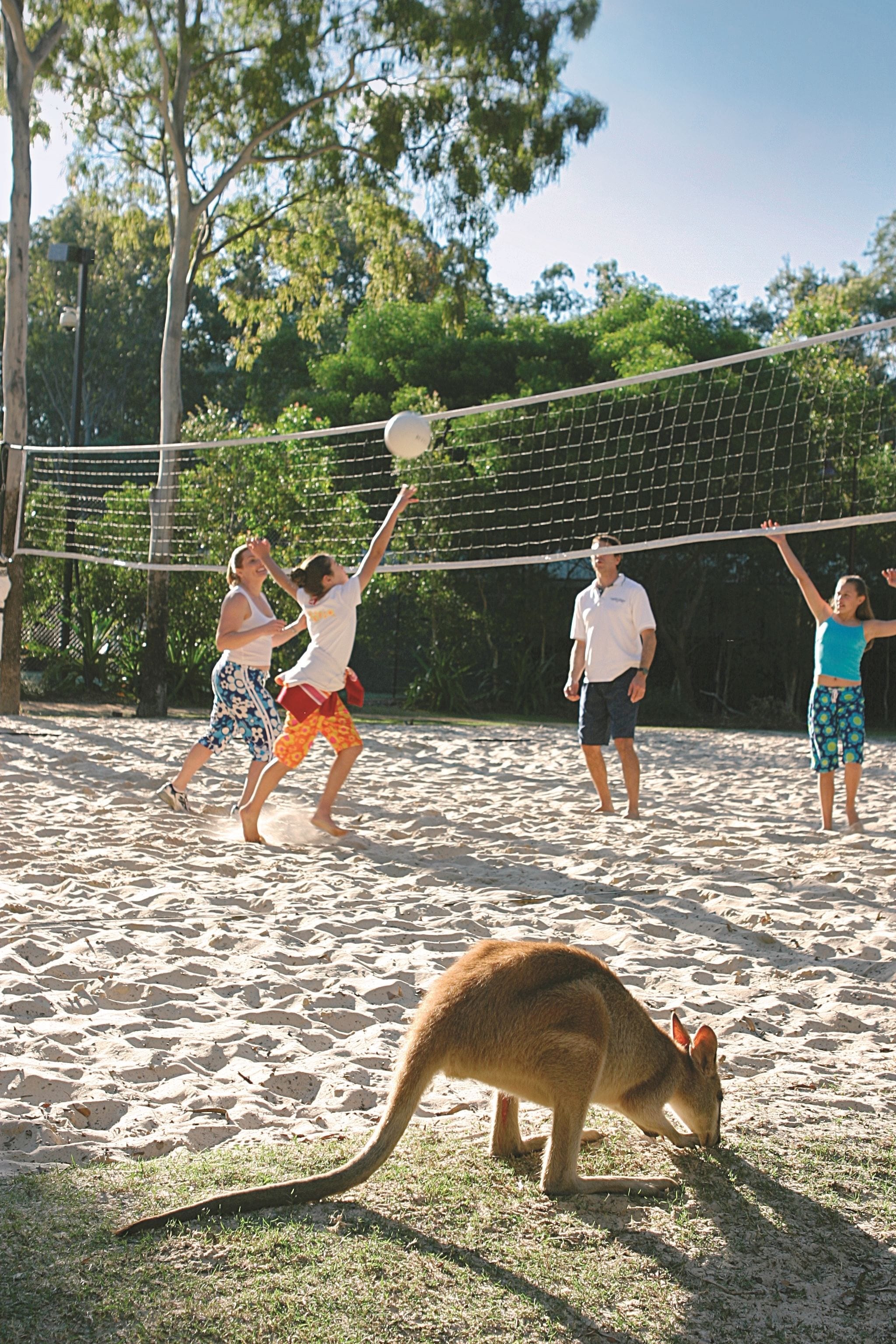 Couran Cove Island Resort