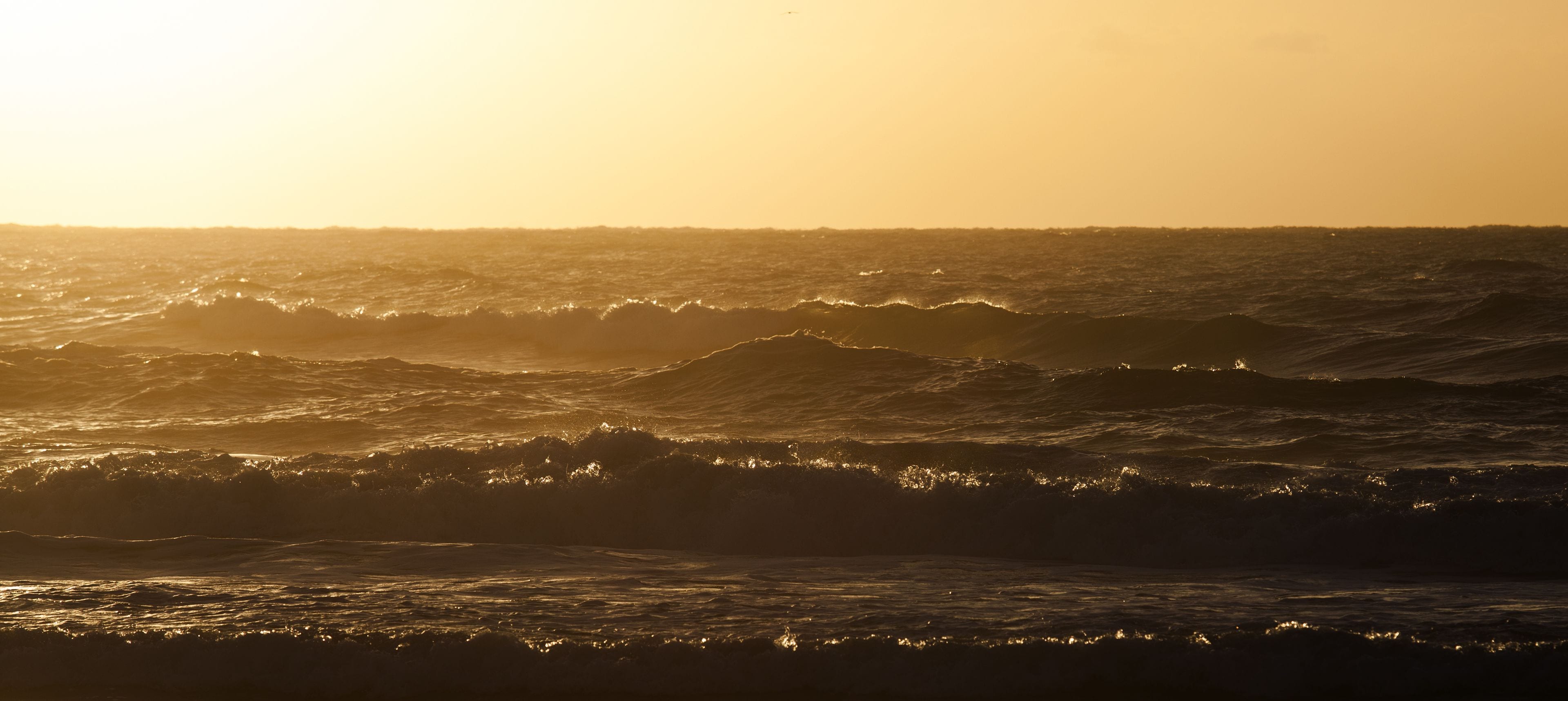 Couran Cove Island Resort