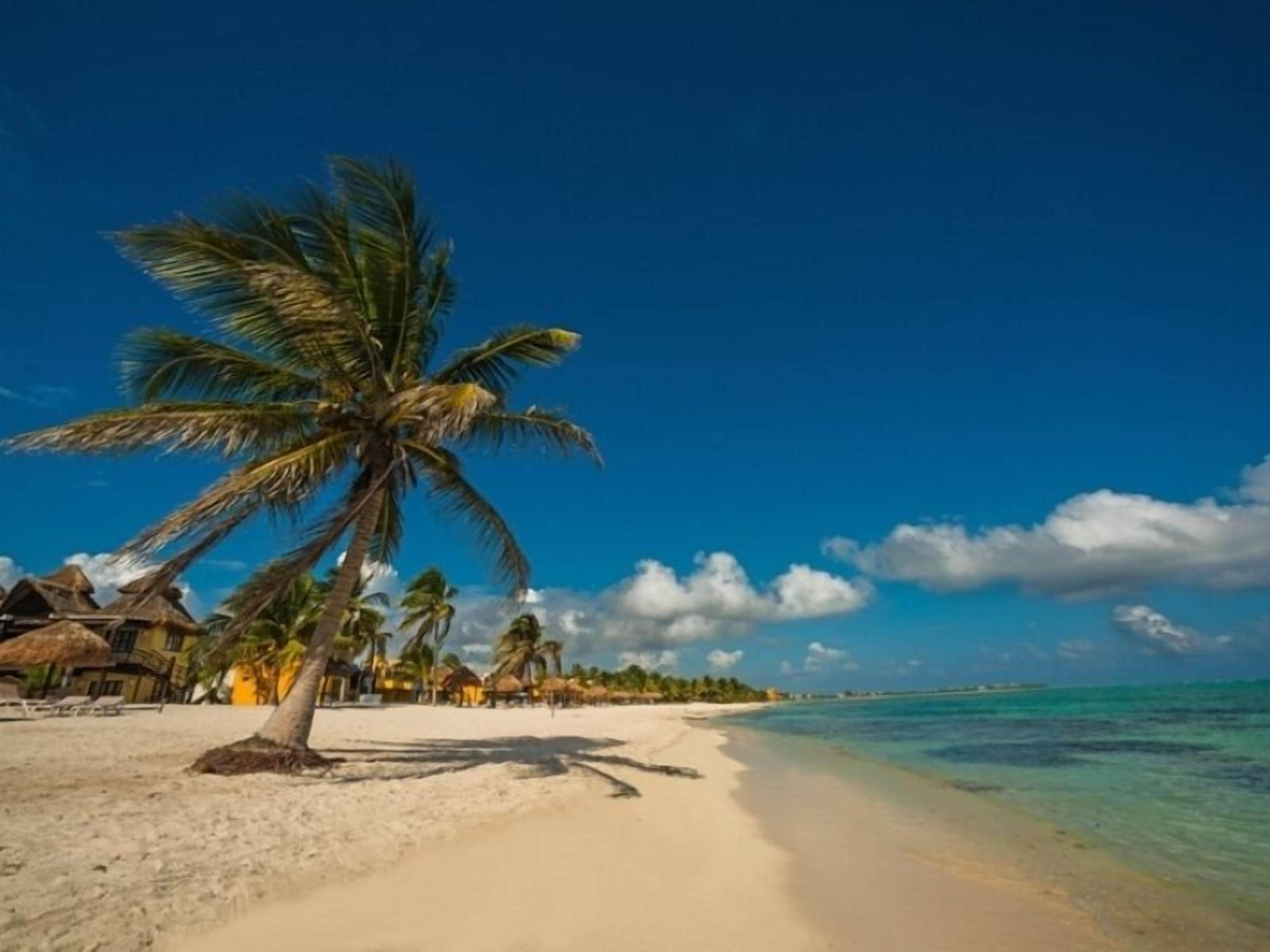 PavoReal Beach Resort Tulum in Tulum, Mexico