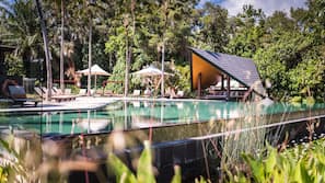 Outdoor pool, pool umbrellas, pool loungers