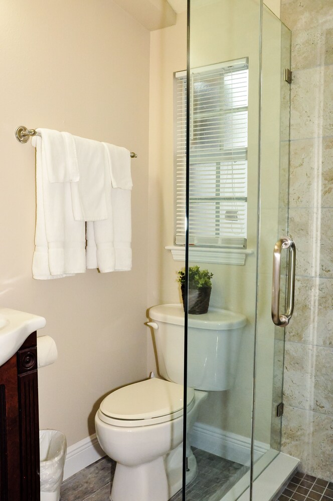 Blue Waters Treasure Island