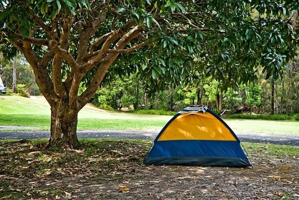 Reflections Holiday Parks Coffs Harbour