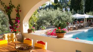 Outdoor pool, pool umbrellas, pool loungers