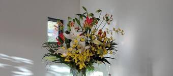 右京区 京都 のビジネスホテル予約 当日予約も充実 エクスペディア 右京区 京都 のビジネスホテル予約 当日予約も充実 エクスペディア