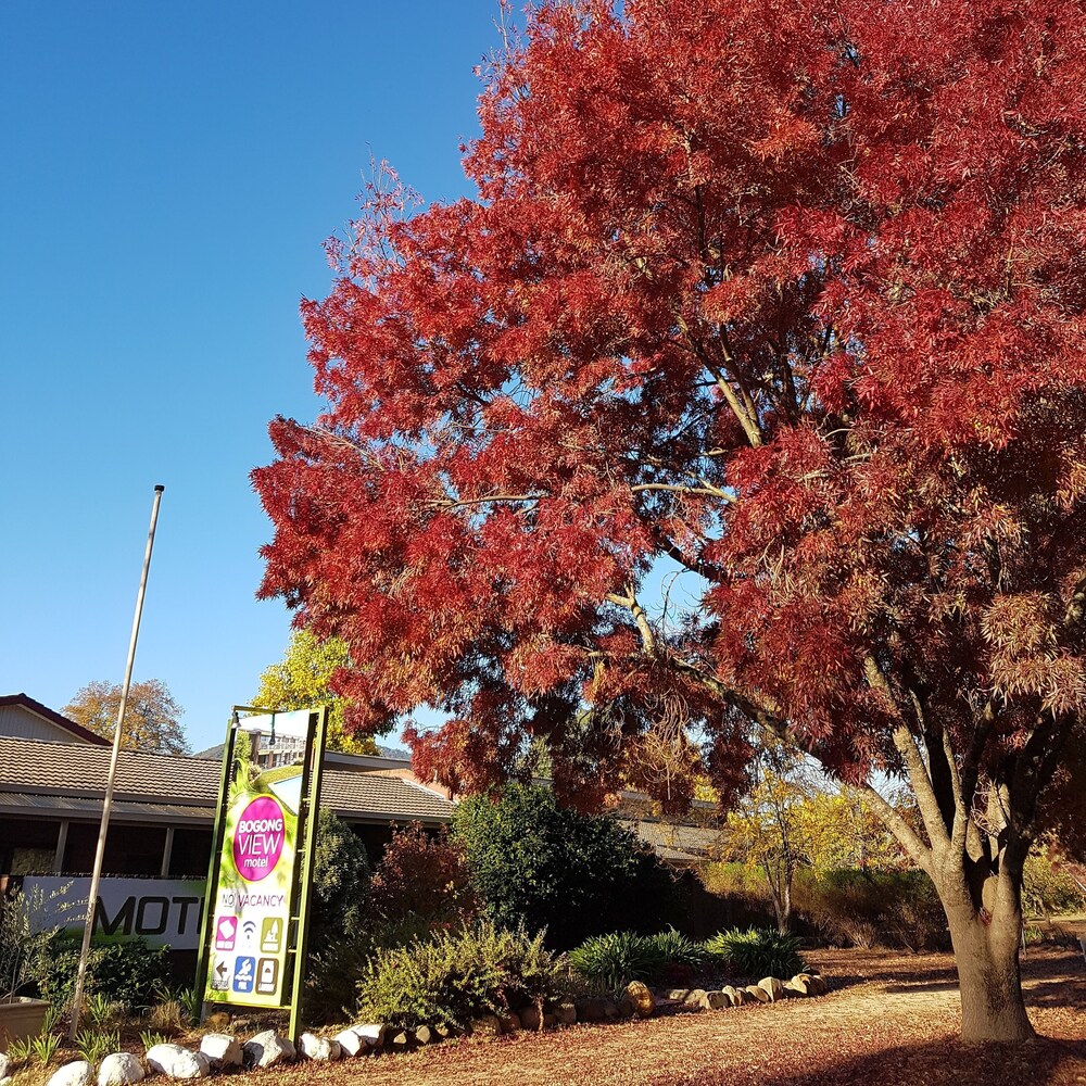 Bogong View Motor Inn