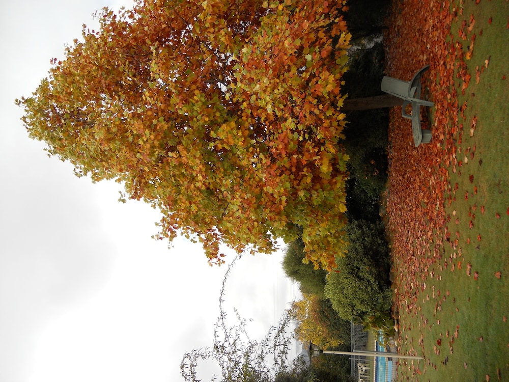 Bogong View Motor Inn