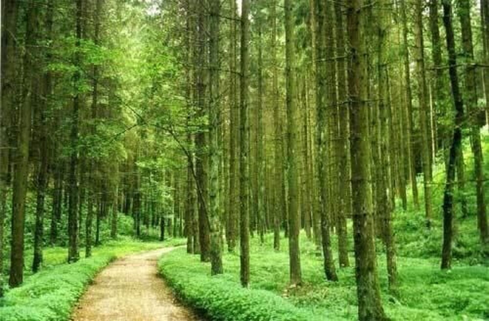 Foto - Abendruhe Hotel - kontaktloser Check In