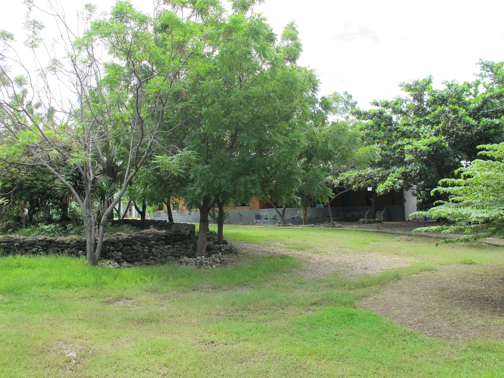 Garden, Green One Hotel