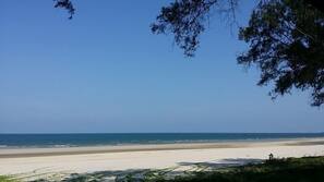 On the beach, white sand, beach volleyball, beach bar