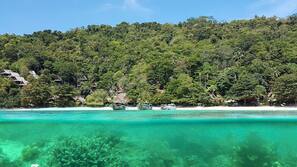 Private beach, sun-loungers, beach massages, snorkelling