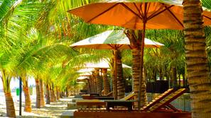 Beach nearby, sun loungers, beach umbrellas, beach volleyball