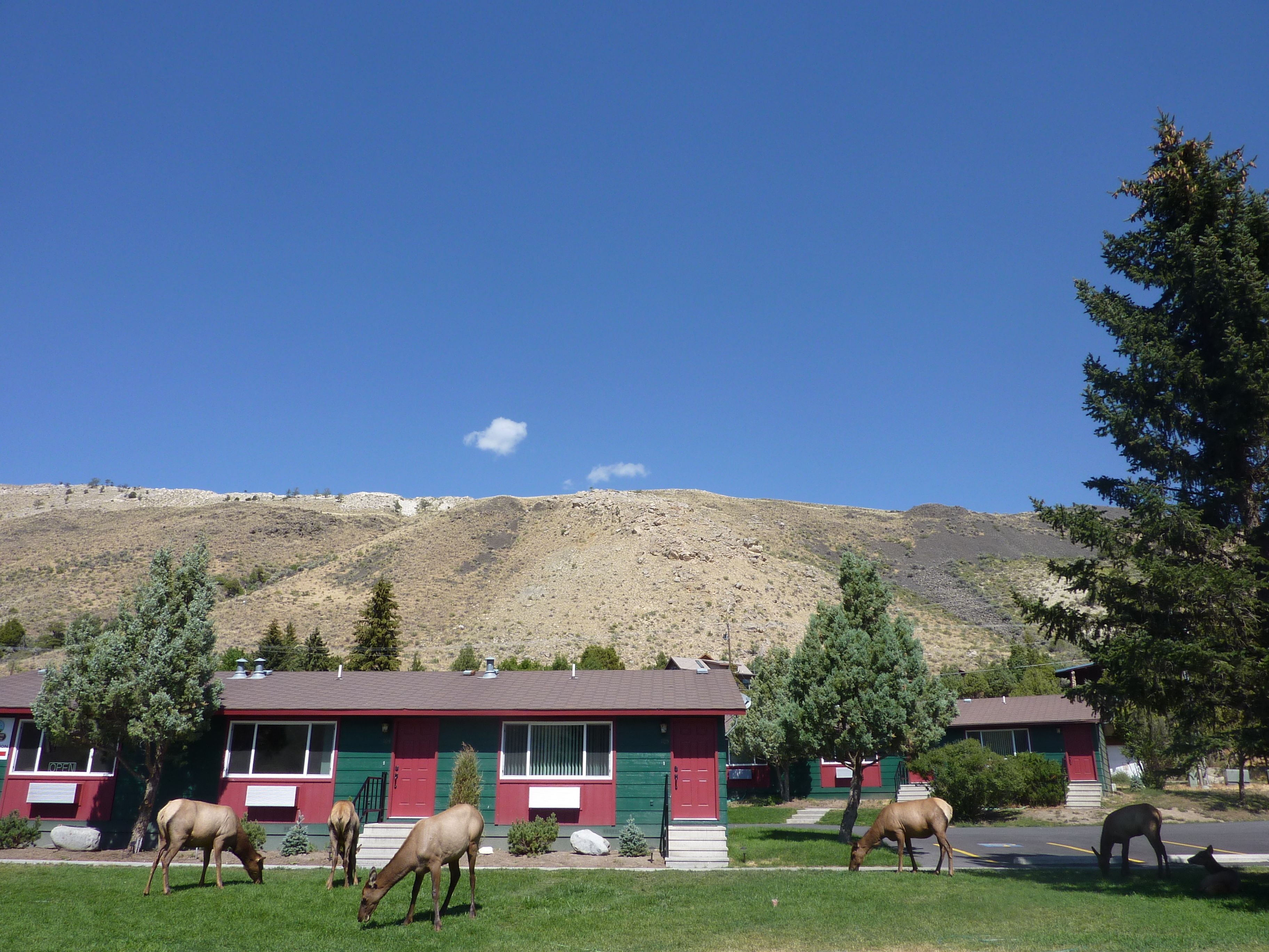 Yellowstone Gateway Inn In Gardiner Mt Expedia