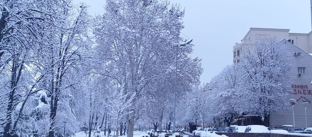 Foto - Manjež Centar