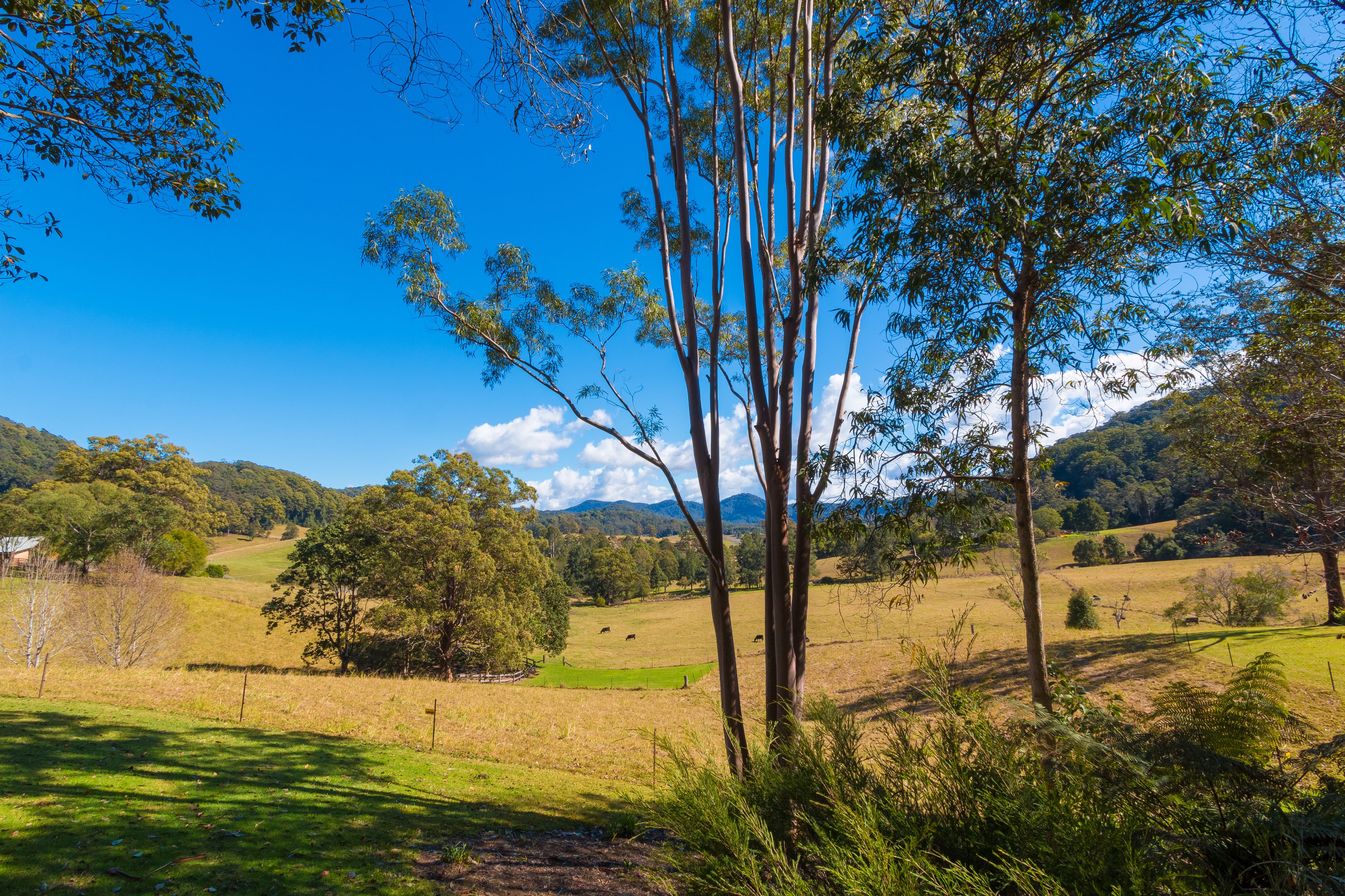 Friday Creek Retreat