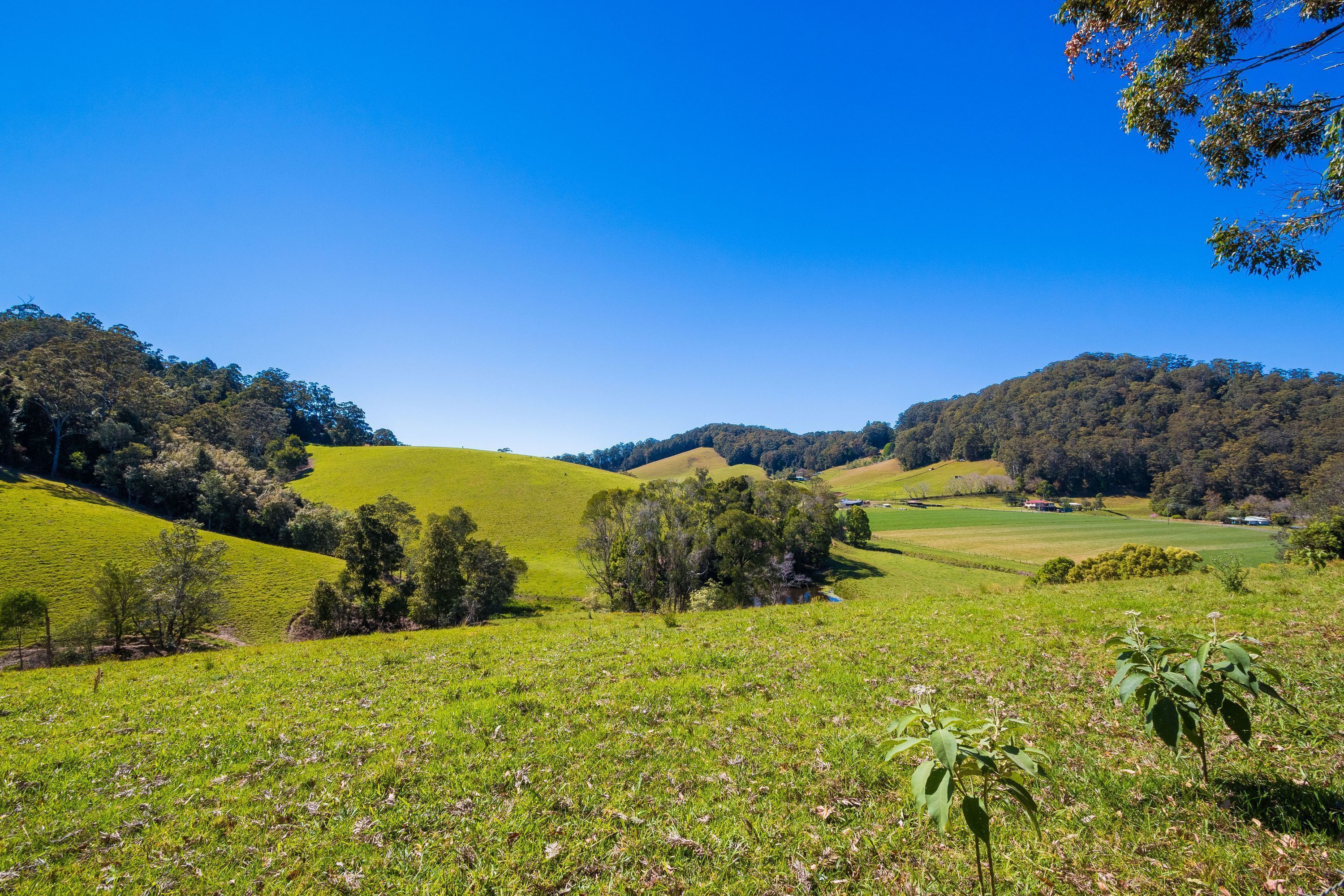 Friday Creek Retreat