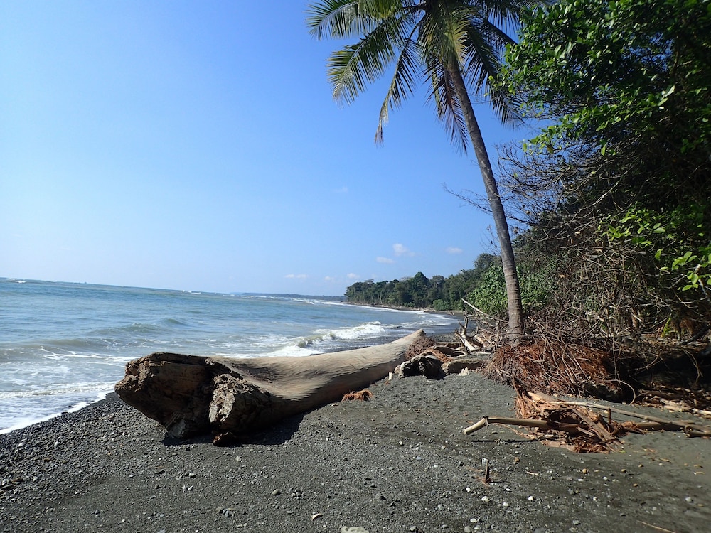 Iguana Lodge & Spa Beach Resort 2019 Room Prices 106, Deals & Reviews