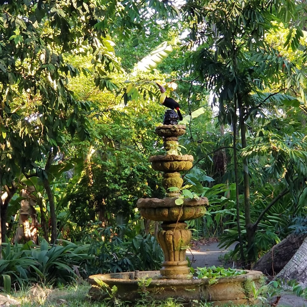 Iguana Lodge & Spa Beach Resort 2019 Room Prices 106, Deals & Reviews