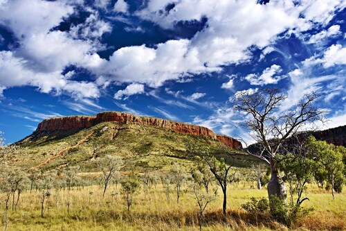 112 Wyndham Cabin Rentals Orbitz