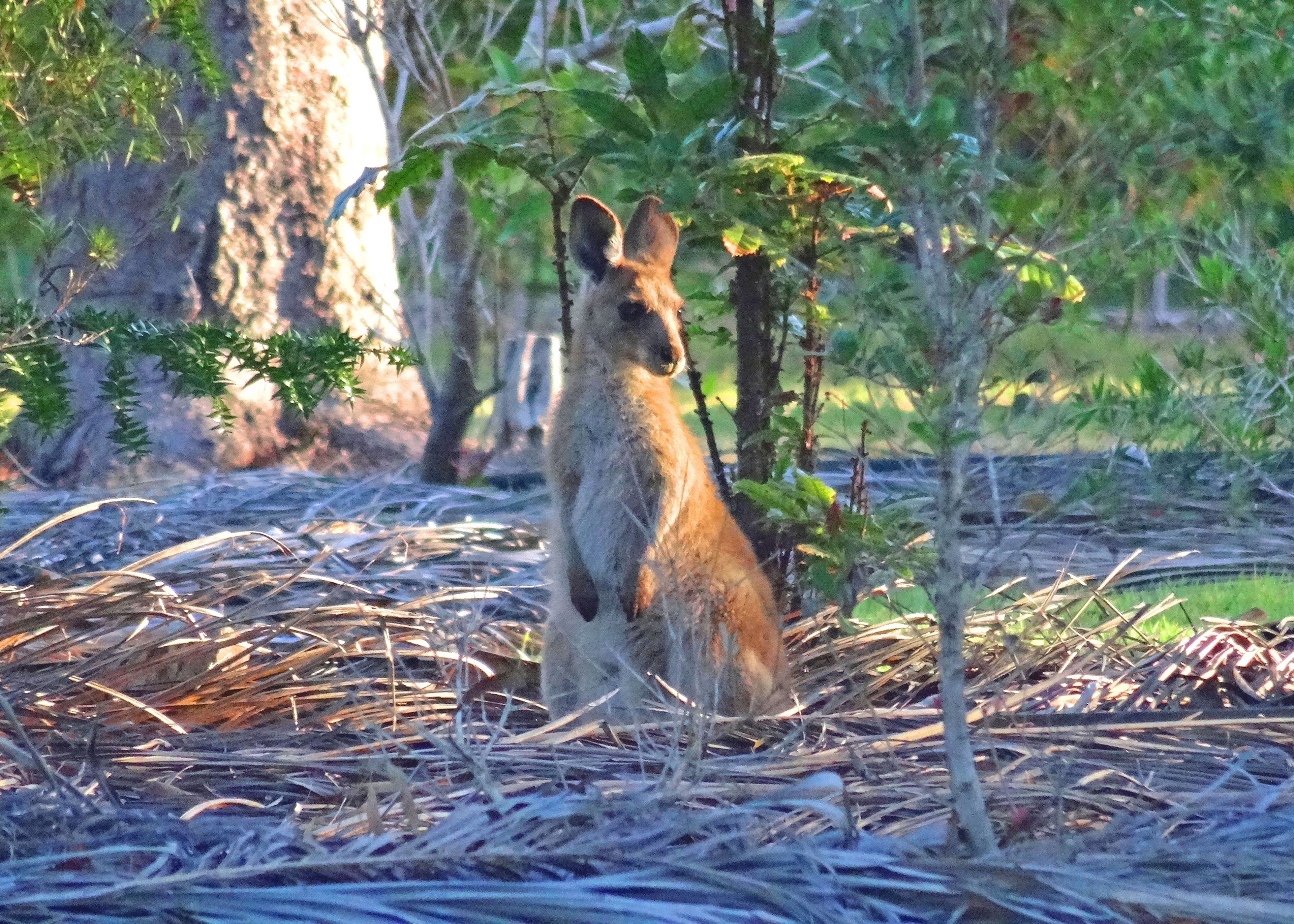 The Lovely Cottages Country Retreat